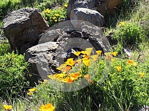 Las Ra­ces recreational area on the Las Lagunetas mountain