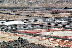 Las Salinas de Janubio, salt marshes in Lanzarote, Canary islands, Spain