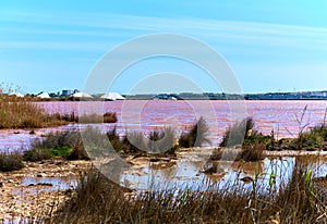 Las Salinas of Torrevieja. Spain