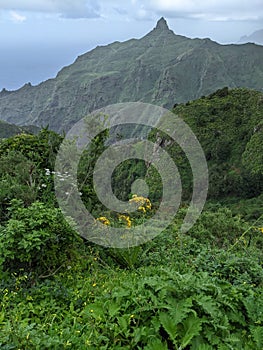 Las Tenerife island in Spain