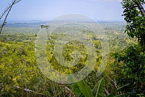 Las Terrazas Cuba Nature, landscape and surroundings photo