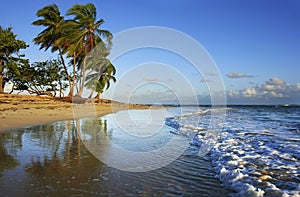 Las Terrenas beach, Samana peninsula