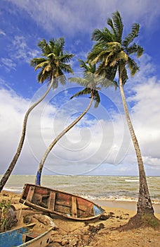 Las Terrenas beach, Samana peninsula photo