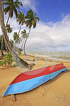 Las Terrenas beach, Samana peninsula photo