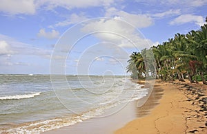 Las Terrenas beach, Samana peninsula photo