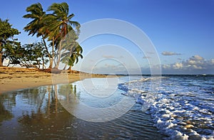 Las Terrenas beach, Samana peninsula photo