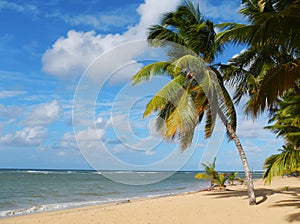 Las Terrenas beach, Samana peninsula photo