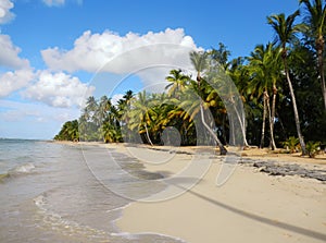 Las Terrenas beach, Samana peninsula photo