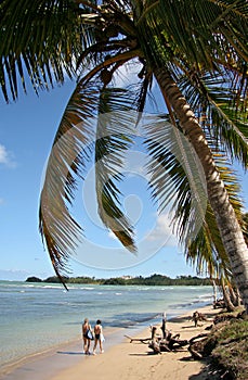 Las Terrenas beach scenic photo