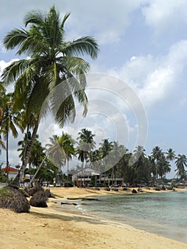 Las terrenas Caribbean beach dominican republic