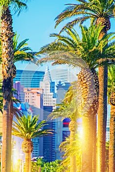 Las Vegas Strip Scenery