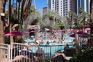 Group of people at Flamingo Hotel and Casino swimming pool