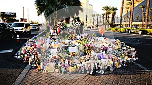 Dedicated flower bed of the Las Vegas Shooting victims