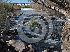 The Las Vegas Wash, Clark County Wetlands, Las Vegas