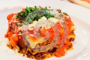 Lasagna bolognese plate, traditional recipe with tomato sauce, cheese and meat