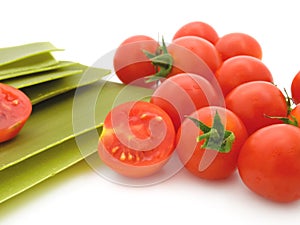 Lasagne sheets with tomatoes