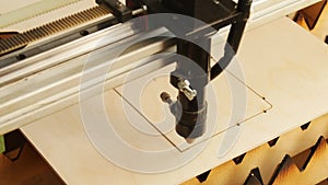 Laser machine cutting wood and plywood