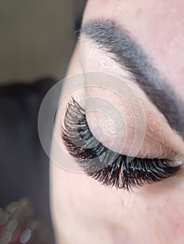 lash extension in beauty salon macro eye