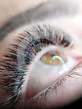 Lash extensions in beauty salon macro eye