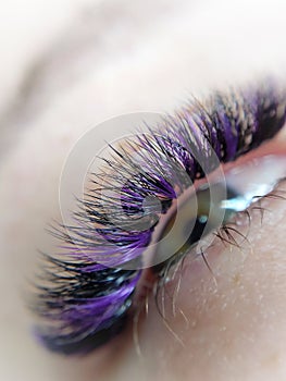 Lash extensions in beauty salon macro eye