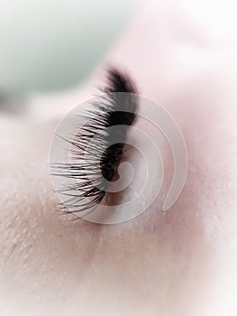 Lash extensions in beauty salon macro eye top view