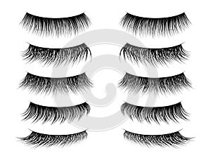 Lashes false. Realistic fake eyelashes collection, thick long and natural lash on closed female eye. Trendy women beauty