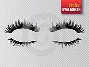 Lashes isolated on transparent background. False eyelashes set. Vector