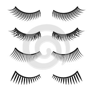 Lashes Set on White Background. Vector