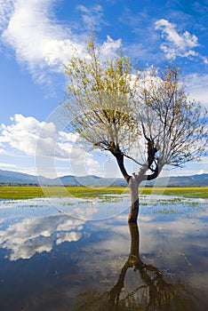 Lashihai Lake