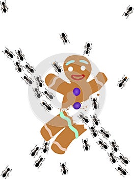 Lasius Emarginatus ant eating Gingerbread