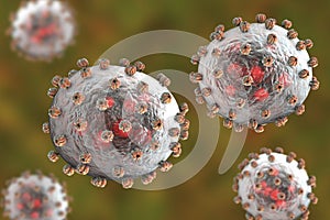 Lassa fever viruses photo