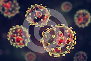 Lassa fever viruses photo