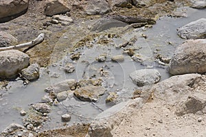 Lassen Volcanic Stream