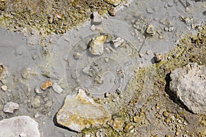 Lassen Volcanic Stream - Overhead