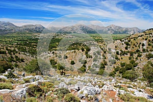 The Lassithi Plateau