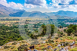 Lassithi plateau on the island of Crete in Greece