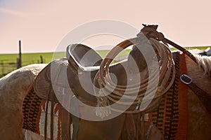 Lasso draped around the pommel of a saddle