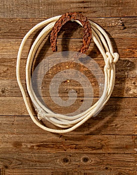 Lasso horse shoe