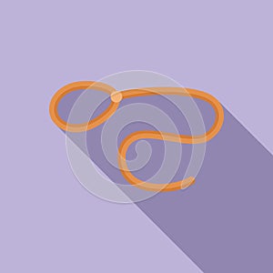 Lasso object icon flat vector. Western rope