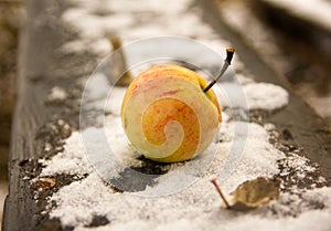 Apple on the first October snow
