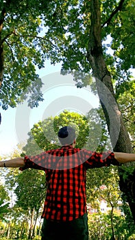 Freshness in the forest.