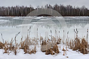 Last ice.The end of winter,the beginning of spring.Landscape with melting ice and reeds at the shore in early spring or late winte