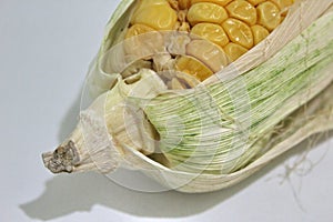 The last part of the corn cobs with corn leaves