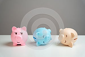 The last piggy bank survived the crisis. Reliable storage of savings.