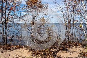 Last remnants of fall colors on the trees on Lake Superior shoreline in the upper peninsula of Michigan photo