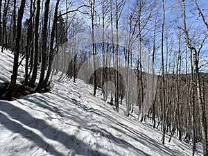 The last remnants of spring snow after a long and harsh mountain winter - Northern Velebit National Park, Croatia photo