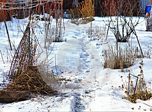 Last spring snow melting on the sun