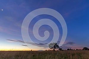 The last stars during blue hour