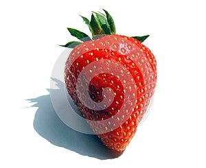 Last Strawberry