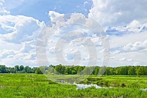 The last wild places. Flood waters of Narew river.